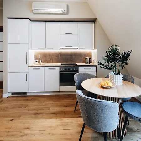 Charming & Quiet Retreat In Historic Old Town 公寓 里加