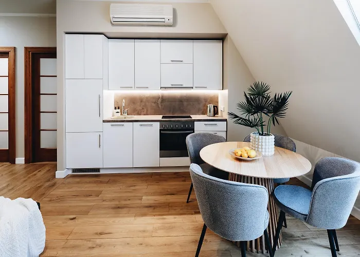 Charming & Quiet Retreat In Historic Old Town 公寓 里加